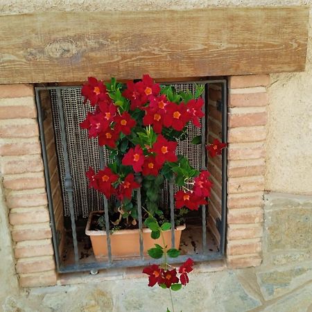 Cal Tom Apartment La Vilella Baixa Екстериор снимка